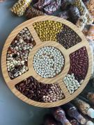 WhatsApp Image 2023-01-13 at 11.24.03.jpeg