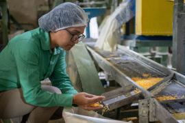 WhatsApp Image 2023-01-13 at 16.39.17.jpeg