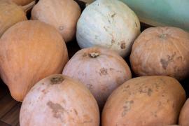 WhatsApp Image 2023-01-16 at 16.47.23.jpeg