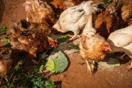 WhatsApp Image 2023-01-16 at 16.47.24 (2).jpeg