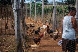 WhatsApp Image 2023-01-17 at 15.33.40 (2).jpeg