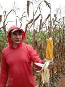 WhatsApp Image 2023-03-28 at 08.42.08[1007].jpeg