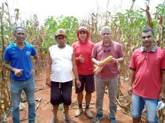 WhatsApp Image 2023-03-28 at 08.42.28[1008].jpeg