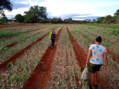 WhatsApp Image 2023-03-31 at 12.09.11[1013].jpeg