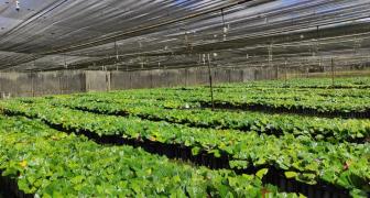 WhatsApp Image 2023-04-06 at 17.27.45.jpeg