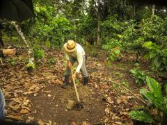 WhatsApp Image 2023-04-06 at 17.28.38.jpeg