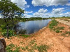 WhatsApp Image 2023-04-11 at 15.28.43.jpeg