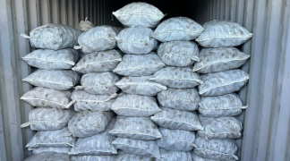 Design sem nome (10).png