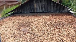 Design sem nome (13).png