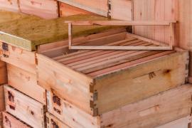 WhatsApp Image 2023-05-08 at 12.52.14.jpeg