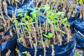 WhatsApp Image 2023-05-08 at 12.52.23.jpeg