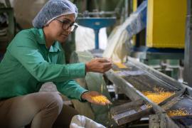 WhatsApp Image 2023-05-23 at 17.13.44 (1).jpeg