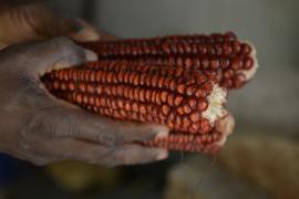 WhatsApp Image 2023-05-23 at 17.15.36.jpeg