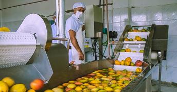 manga coopercuc 2.jpg