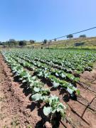 Missão Oeste-Bacia do Rio Grande-07jun2023-06.jpg