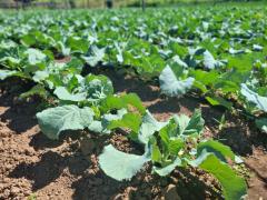 Missão Oeste-Bacia do Rio Grande-07jun2023-07.jpg