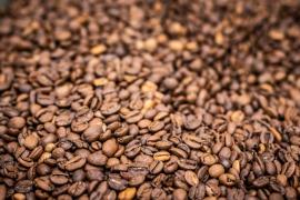 WhatsApp Image 2023-06-02 at 11.11.40.jpeg