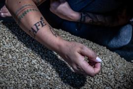 WhatsApp Image 2023-06-02 at 11.11.49.jpeg