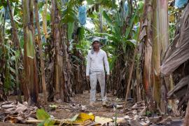 WhatsApp Image 2023-06-30 at 10.31.56.jpeg