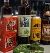 Seminário Desenvolvimento da Caatinga-Campina Grande-28-30jun2023-06.jpeg