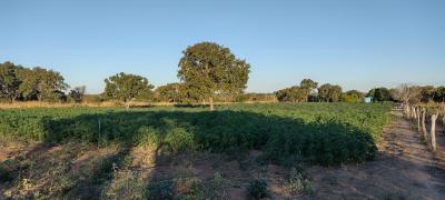 WhatsApp Image 2023-07-04 at 11.36.10 (1).jpeg