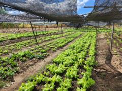 WhatsApp Image 2023-07-19 at 08.41.30 (1).jpeg