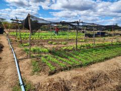 WhatsApp Image 2023-07-19 at 08.41.32.jpeg