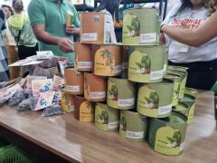 chocolat_festival (1).jpeg