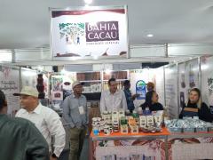 chocolat_festival (2).jpeg