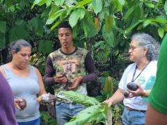 FORMAÇÃO para prevenção e controle da monilíase no Litoral Sul-26set2023-04.jpg