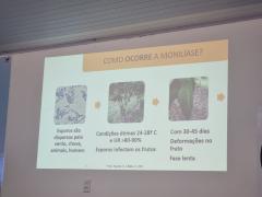FORMAÇÃO para prevenção e controle da monilíase no Litoral Sul-26set2023-06.jpg