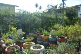 Turismo de Base Comunitária - 27.09 (2).jpeg