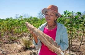 WhatsApp Image 2023-09-08 at 09.07.23.jpeg