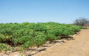 WhatsApp Image 2023-09-08 at 09.07.24 (1).jpeg