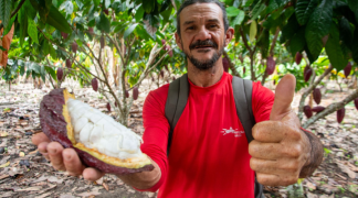 Modelo baiano  (10).png