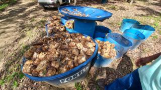 WhatsApp Image 2023-10-03 at 16.11.38 (7).jpeg