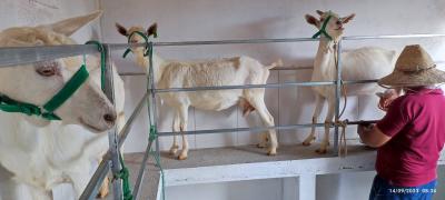 WhatsApp Image 2023-10-09 at 15.43.22 (2).jpeg