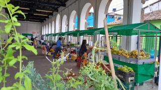 WhatsApp Image 2023-10-30 at 11.51.38 (1).jpeg