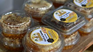 WhatsApp Image 2023-10-30 at 11.51.39 (1).jpeg