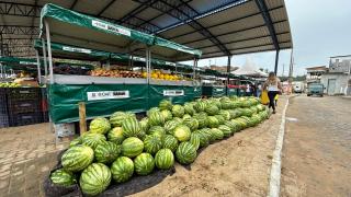 WhatsApp Image 2023-12-21 at 14.14.17.jpeg