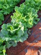 WhatsApp Image 2024-01-09 at 09.53.14.jpeg