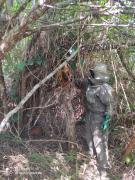 WhatsApp Image 2024-03-22 at 14.33.40 (1).jpeg