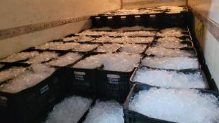 WhatsApp Image 2024-03-28 at 11.28.01 AM (3).jpeg