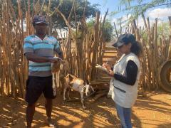 Fotos-Auriele dos SantosWhatsApp Image 2024-04-20 at 15.58.07 (3).jpeg