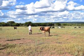 WhatsApp Image 2024-04-25 at 15.12.57 (1).jpeg