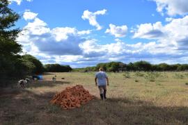 WhatsApp Image 2024-04-25 at 15.12.57.jpeg