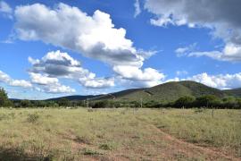 WhatsApp Image 2024-04-25 at 15.12.58 (1).jpeg