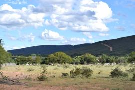 WhatsApp Image 2024-04-25 at 15.12.59 (2).jpeg