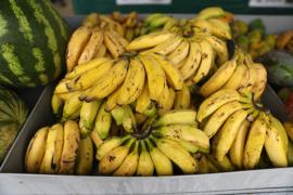 WhatsApp Image 2024-04-28 at 09.05.56 (1).jpeg