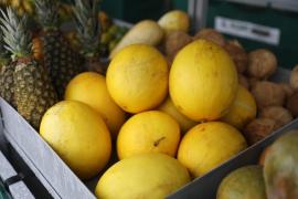 WhatsApp Image 2024-04-28 at 09.05.57 (1).jpeg